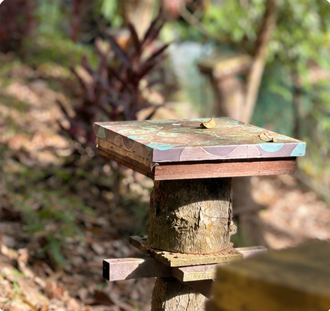Close-up of a single wooden kelulut hive box mounted on a log post in the forest.
